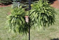 Heavy Duty Outdoor Plant Hangers