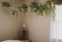 Hanging Plants In Bedroom