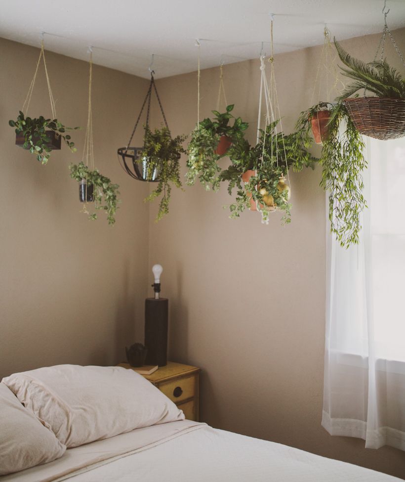 Hanging Plants In Bedroom