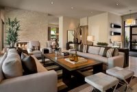 Large Living Room Ideas