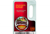Best Outdoor Ant Killer