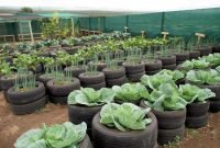 Tire Vegetable Garden Ideas