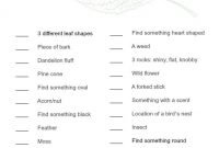 Outdoor Scavenger Hunt Ideas