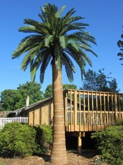 Outdoor Artificial Palm Trees