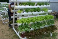 Pvc Pipe Garden Ideas