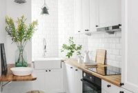 Small Galley Kitchen Ideas