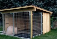 Outdoor Dog Kennel With Roof