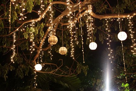Outdoor Tree Lighting Ideas