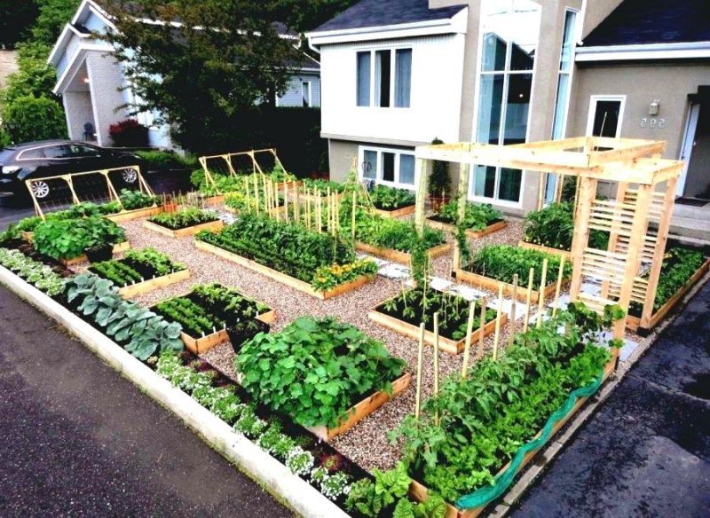 Front Yard Vegetable Garden Ideas