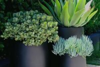 Low Maintenance Outdoor Potted Plants