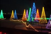 Outdoor Christmas Tree Made Of Lights