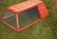 Outdoor Guinea Pig Cage