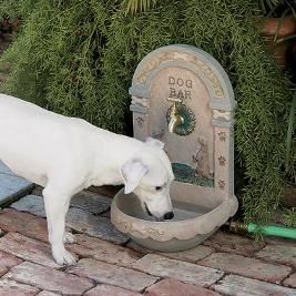 Outdoor Dog Water Fountain