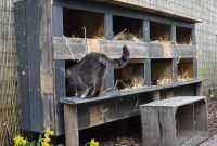Outdoor Cat Shelter For Multiple Cats