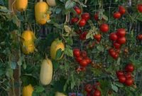 Vertical Vegetable Garden Ideas