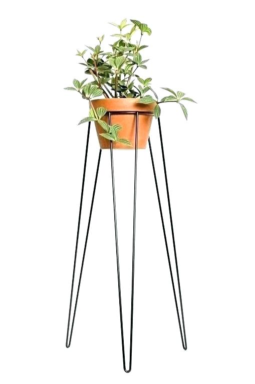 Tall Outdoor Plant Stand