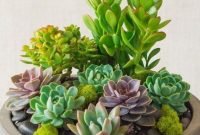 Indoor Succulent Garden Ideas