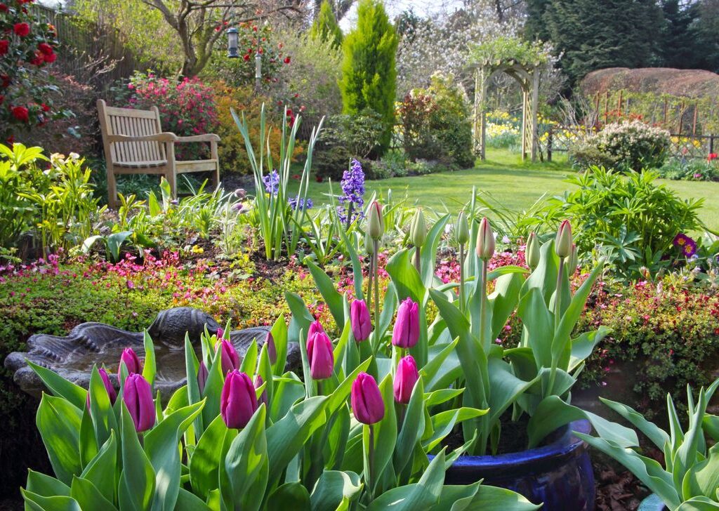 Spring Gardening Tips A Guide to a Bountiful and Beautiful Garden