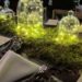 Popular Winter Table Centerpieces Ideas Best For Wedding 12